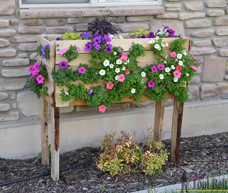 DIY - Pallet Box Planter