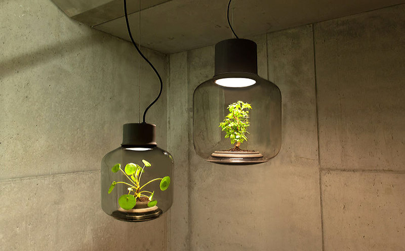 Terrarium-Lamps-by-Nui-Studio-1