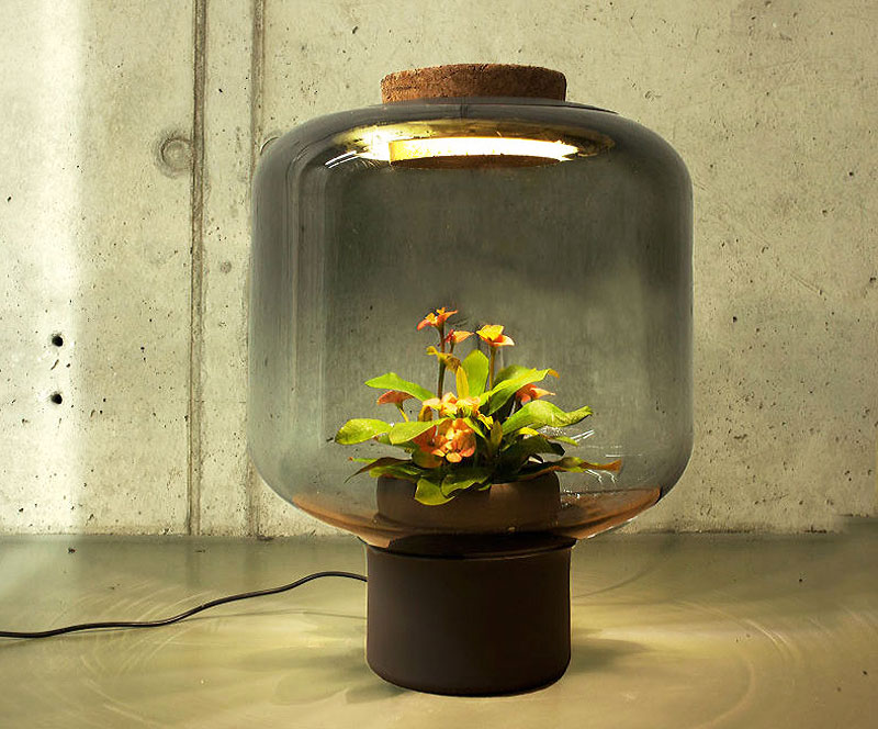 Terrarium-Lamps-by-Nui-Studio-2