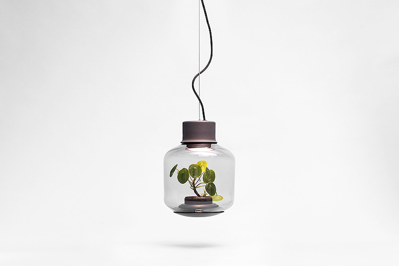 Terrarium-Lamps-by-Nui-Studio-7