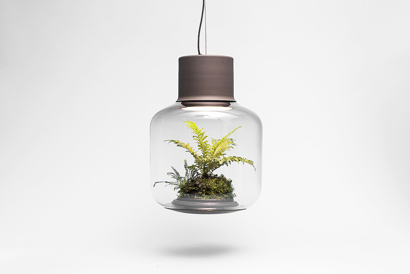 Terrarium-Lamps-by-Nui-Studio-8