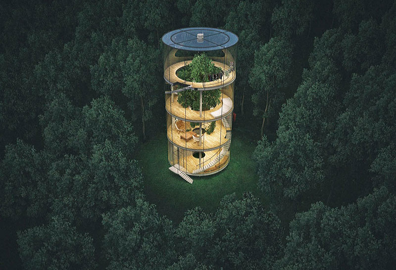 Tubular-Glass-House-Built-Around-Tree-03