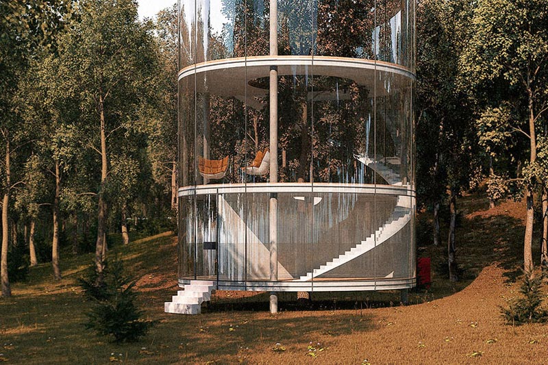 Tubular-Glass-House-Built-Around-Tree-06
