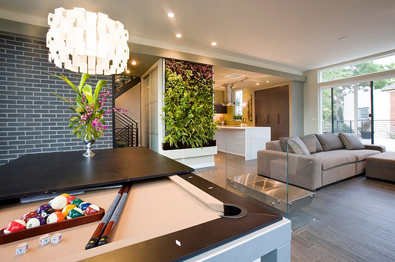 10 Living Room Plant Ideas