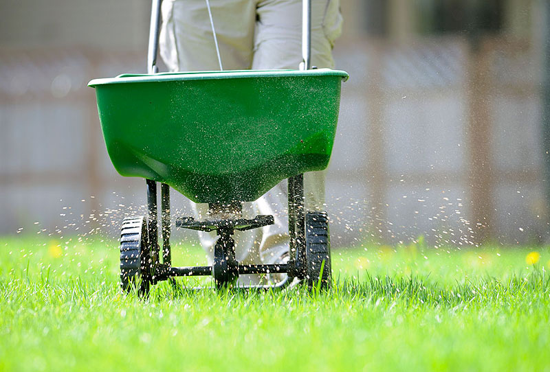 Winter Lawn Care Winter Lawn Maintenance Quiet Corner