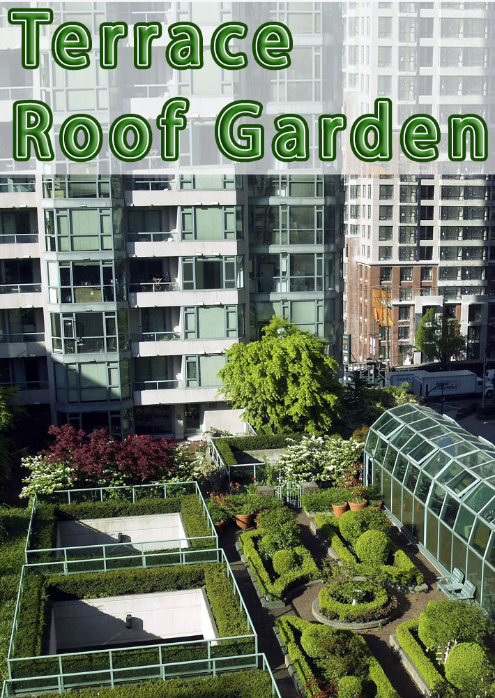 Terrace – Roof Garden