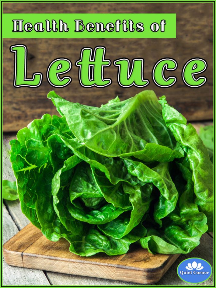 Lettuce Health Benefits