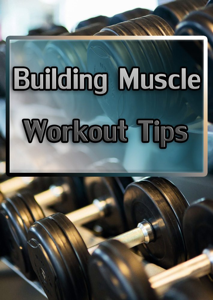 Building Muscle – Workout Tips