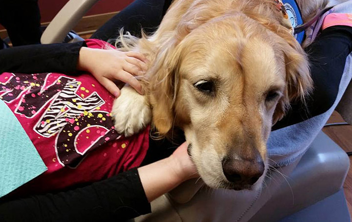 JoJo The Dog Comforts Kids At Dentist