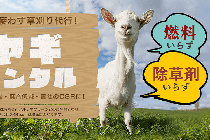 Rent-a-goat service now available in Japan