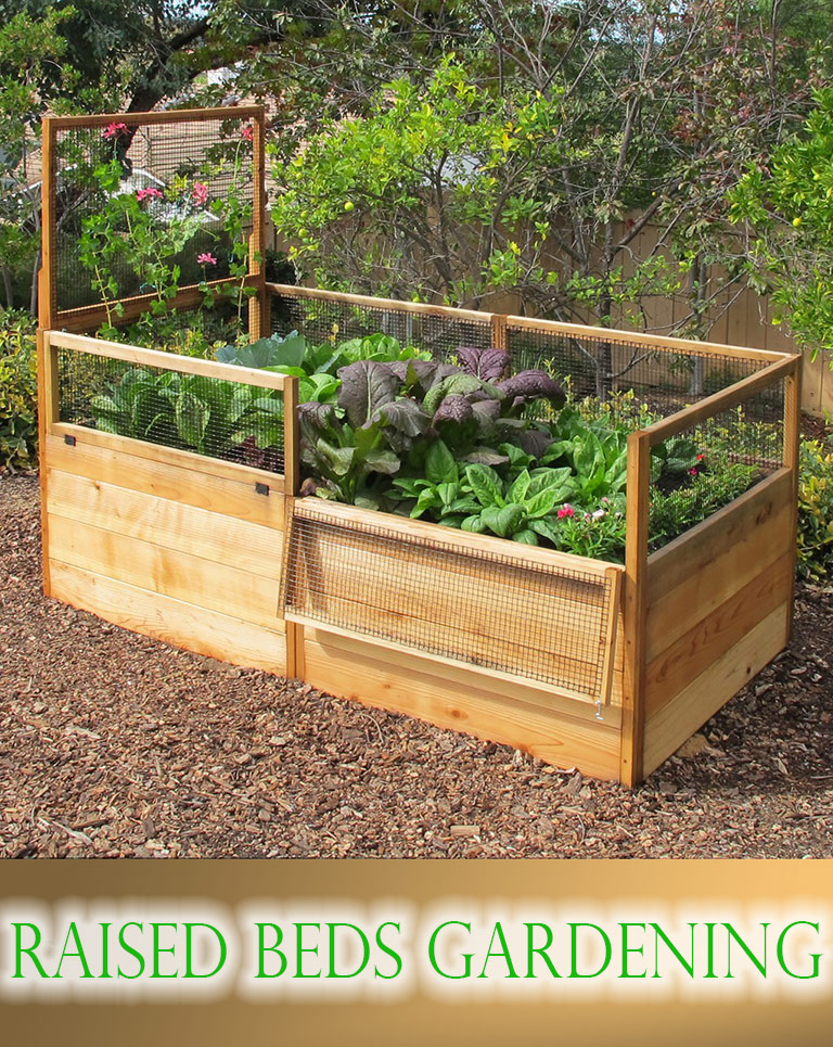 Vegetable Gardening with Raised Beds