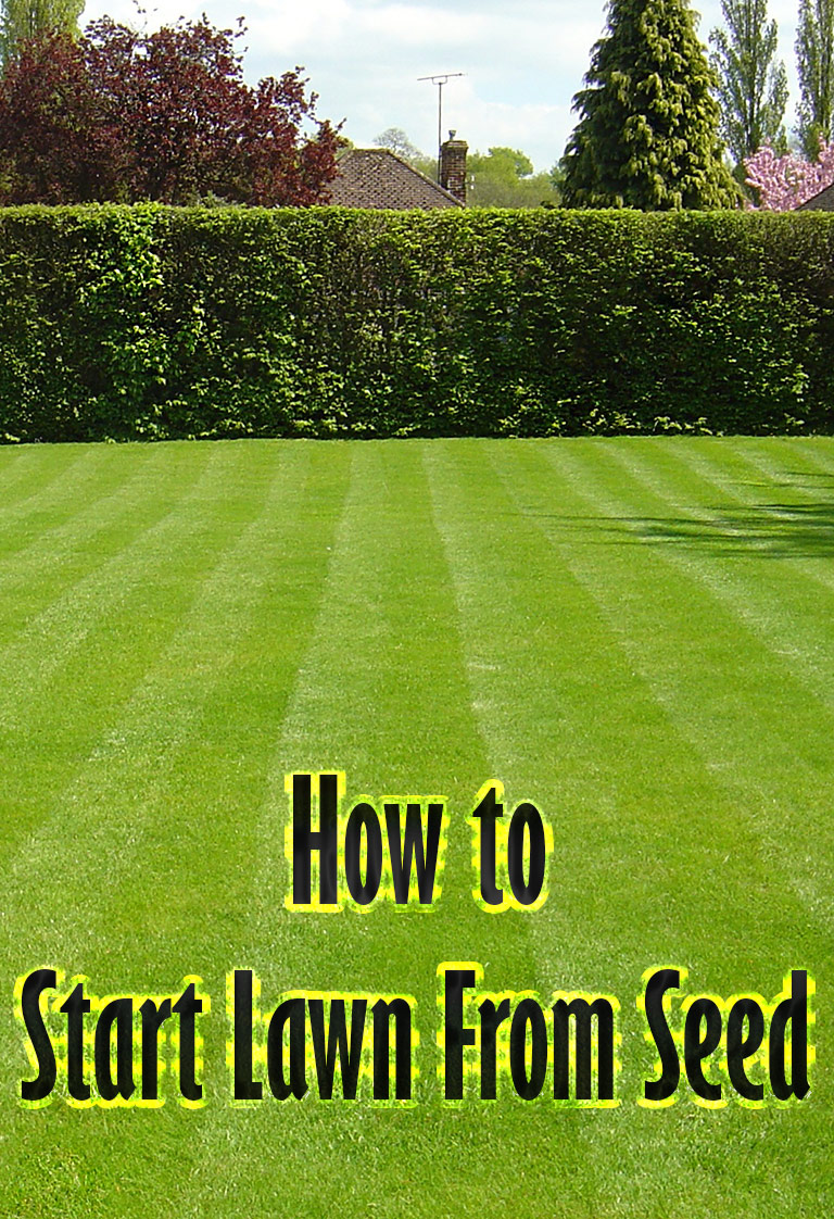 How to Start Lawn From Seed