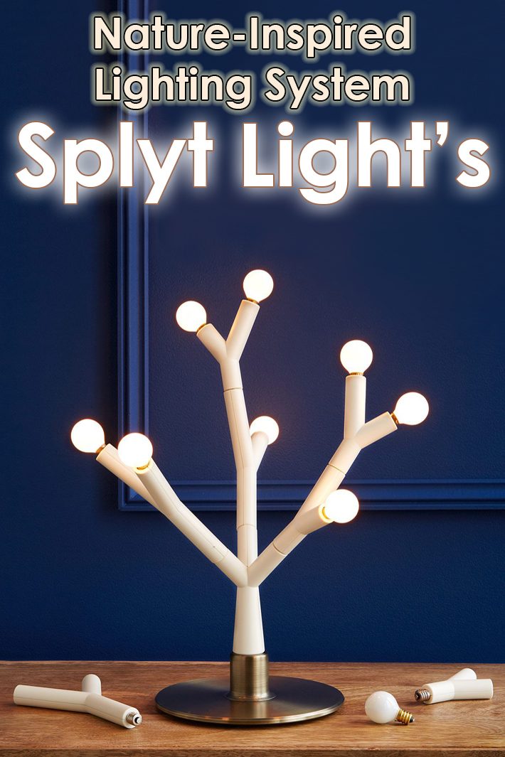 Splyt Light: Nature-Inspired Lighting System