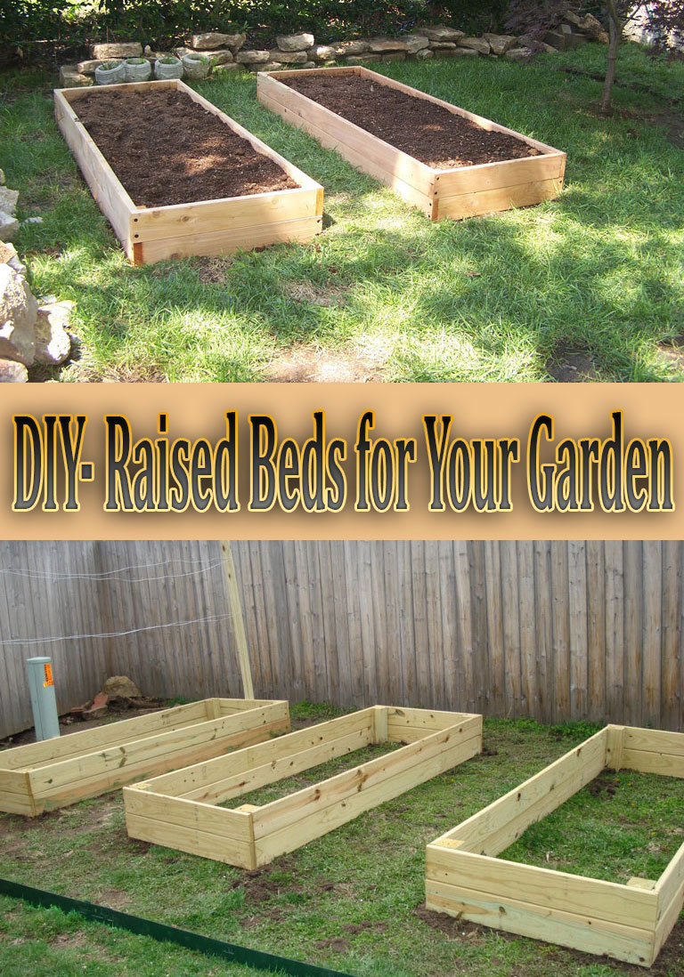 DIY- Raised Beds for Your Garden