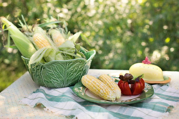 Growing Sweet Corn