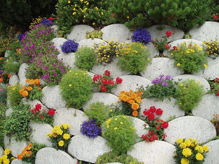 Quiet Corner:Stunning Rock Garden Design Ideas - Quiet Corner