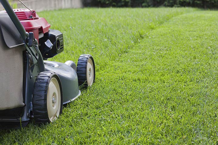 4 Lawn Mowing Tips for Keeping a Lush Lawn