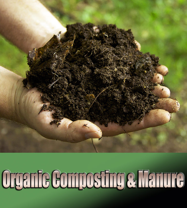 Quiet Corner:Organic Composting & Manure - Quiet Corner