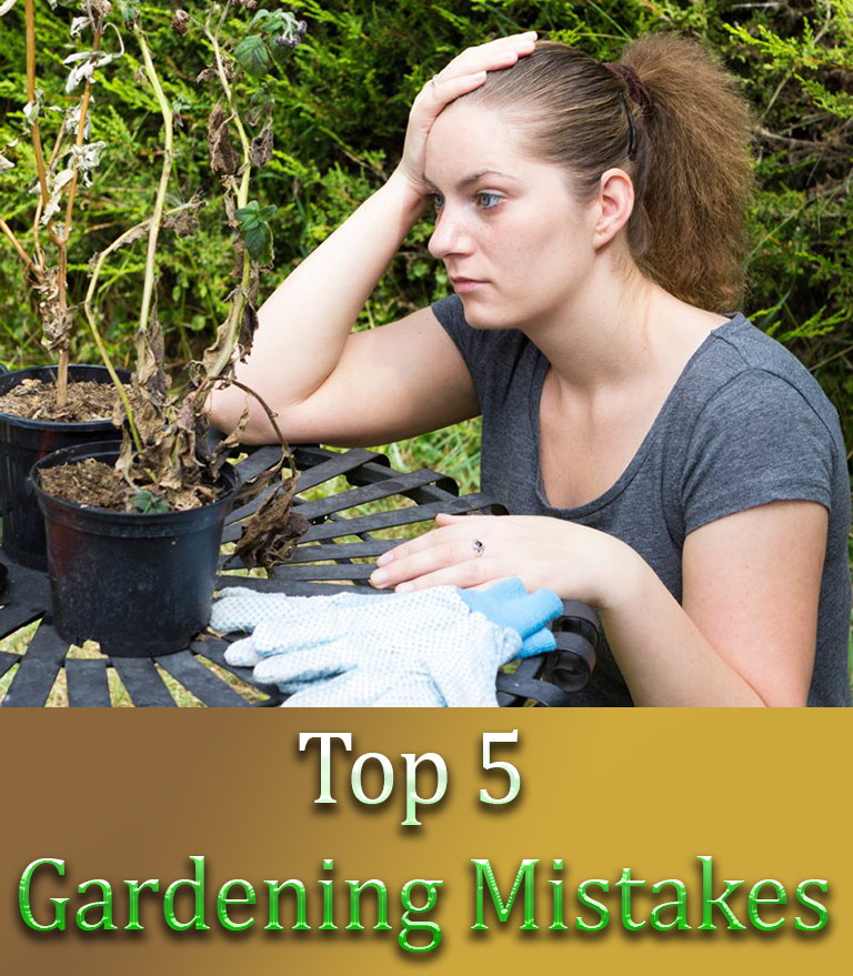 Top 5 Gardening Mistakes