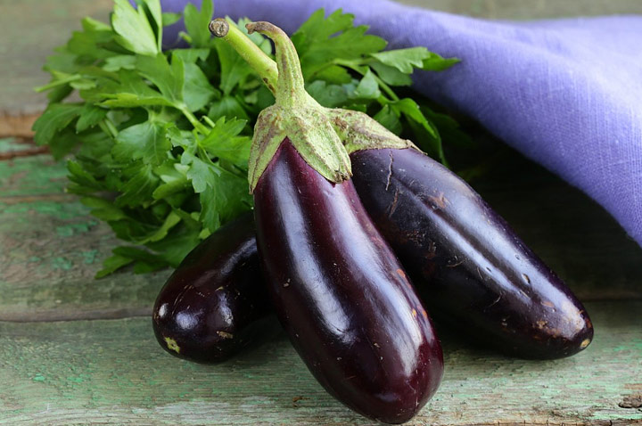 How to Grow Eggplants - Gardening Tips