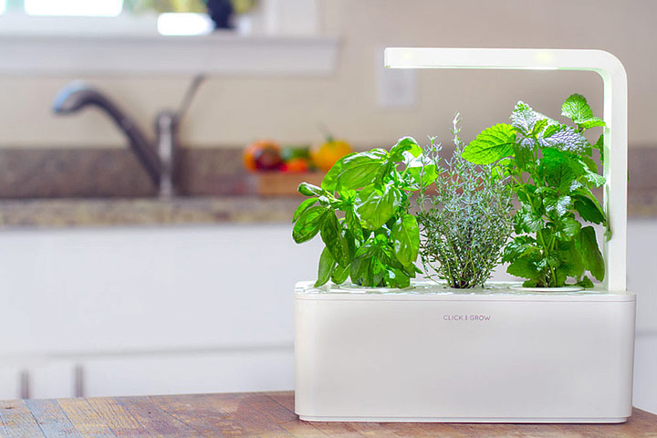 Click and Grow - Smart Herb Garden