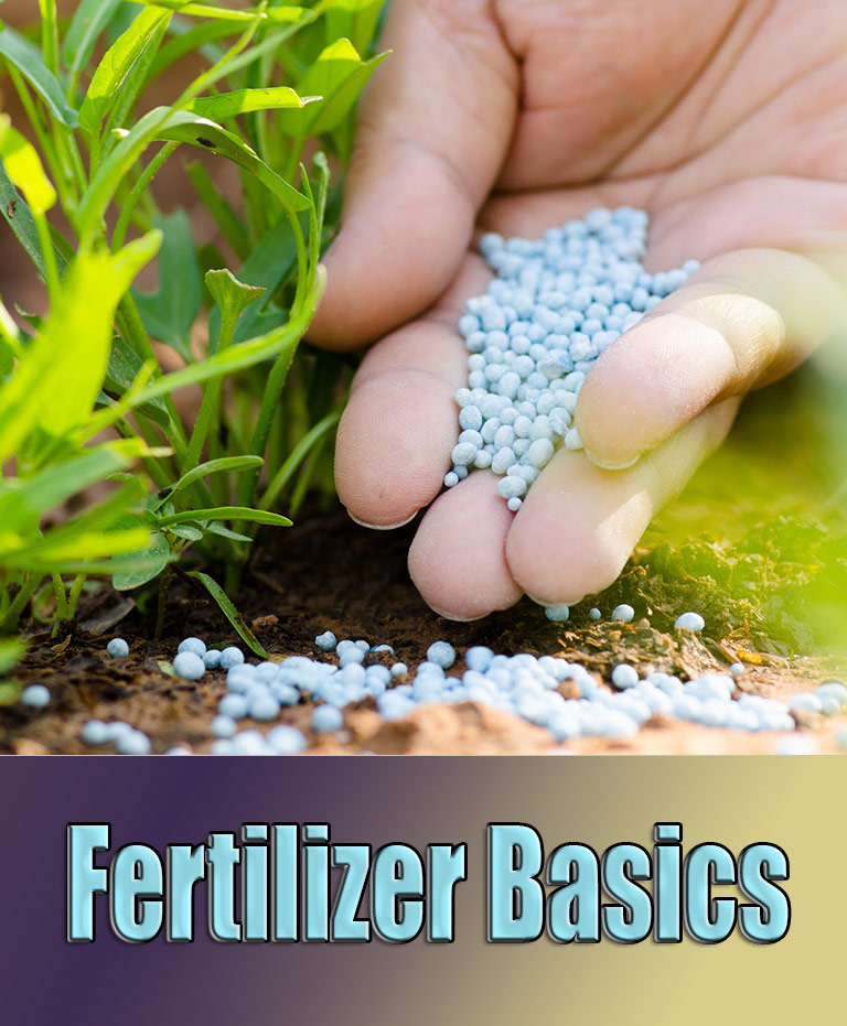 Fertilizer Basics - Facts, Types and How to Use It