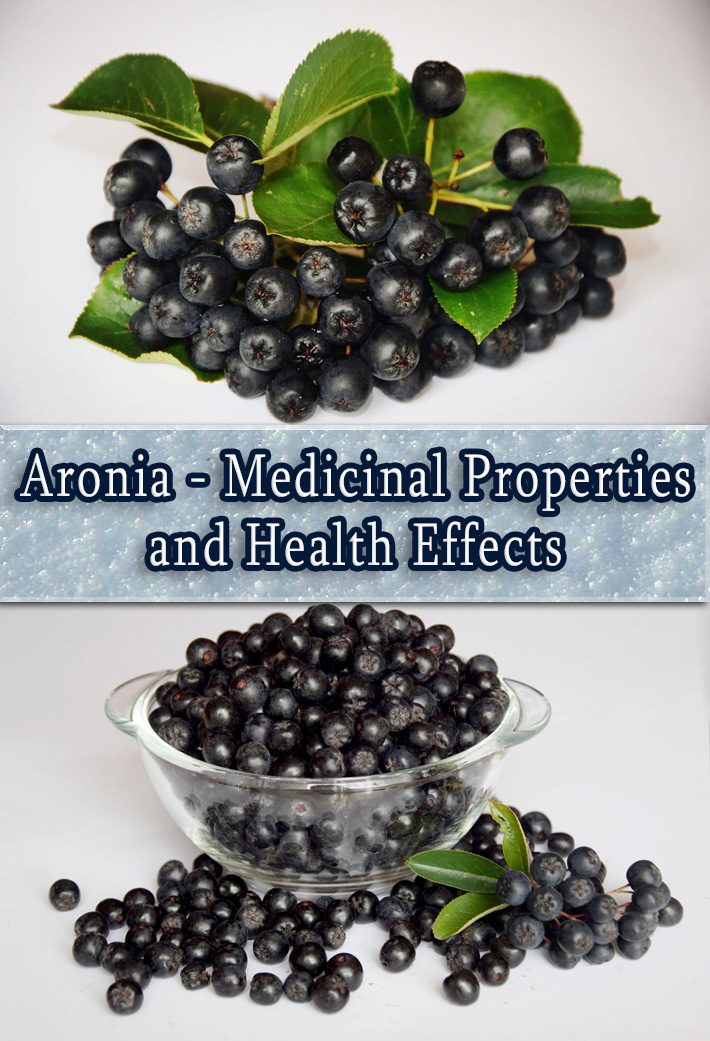 Aronia – Medicinal Properties And Health Effects