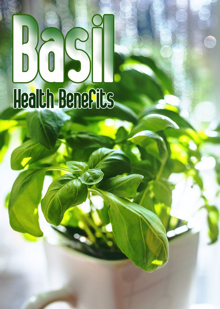 Basil Health Benefits and Nutritional Info