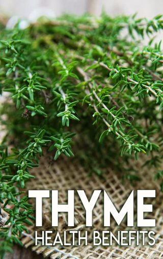 Quiet Corner:Thyme Health Benefits - Quiet Corner