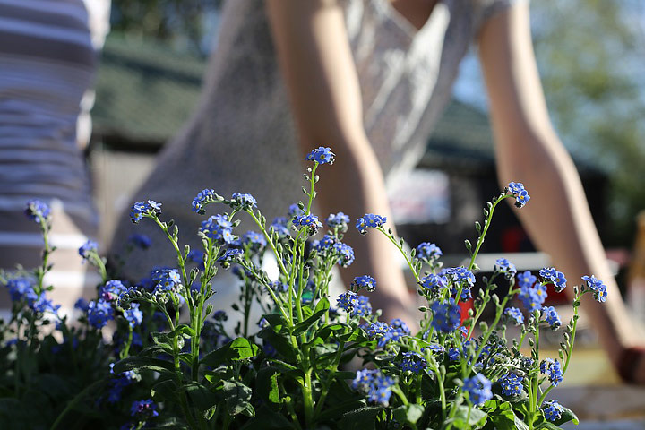 Get Your Yard Summer-Ready