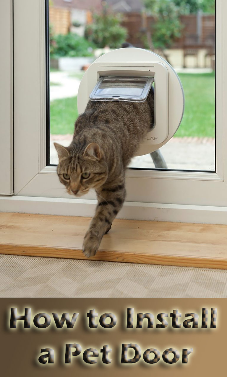 How to Install a Pet Door