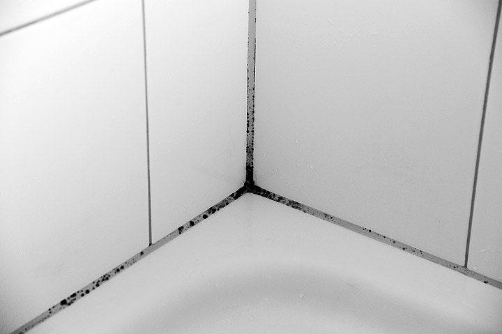 How to Remove & replace moldy shower caulk