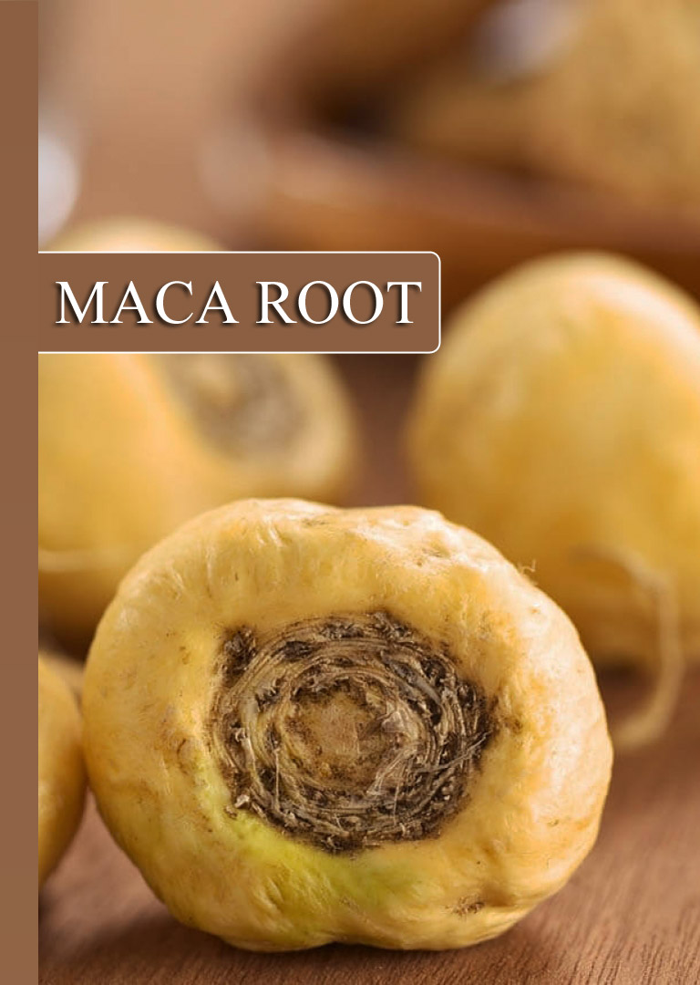 Ineradicable Health Benefits of Maca Root