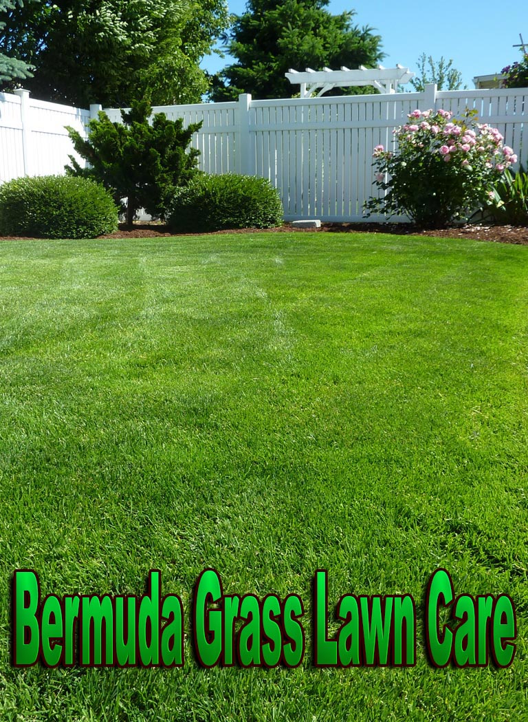 Bermuda Grass Lawn Care 2023