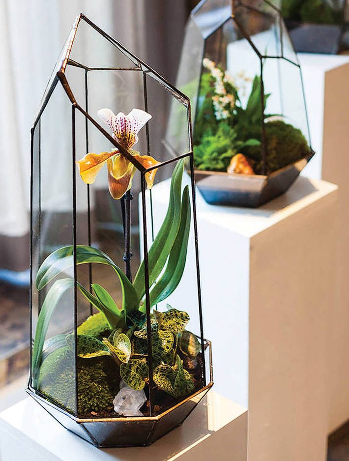 Everything You Need to Know About Making Terrarium