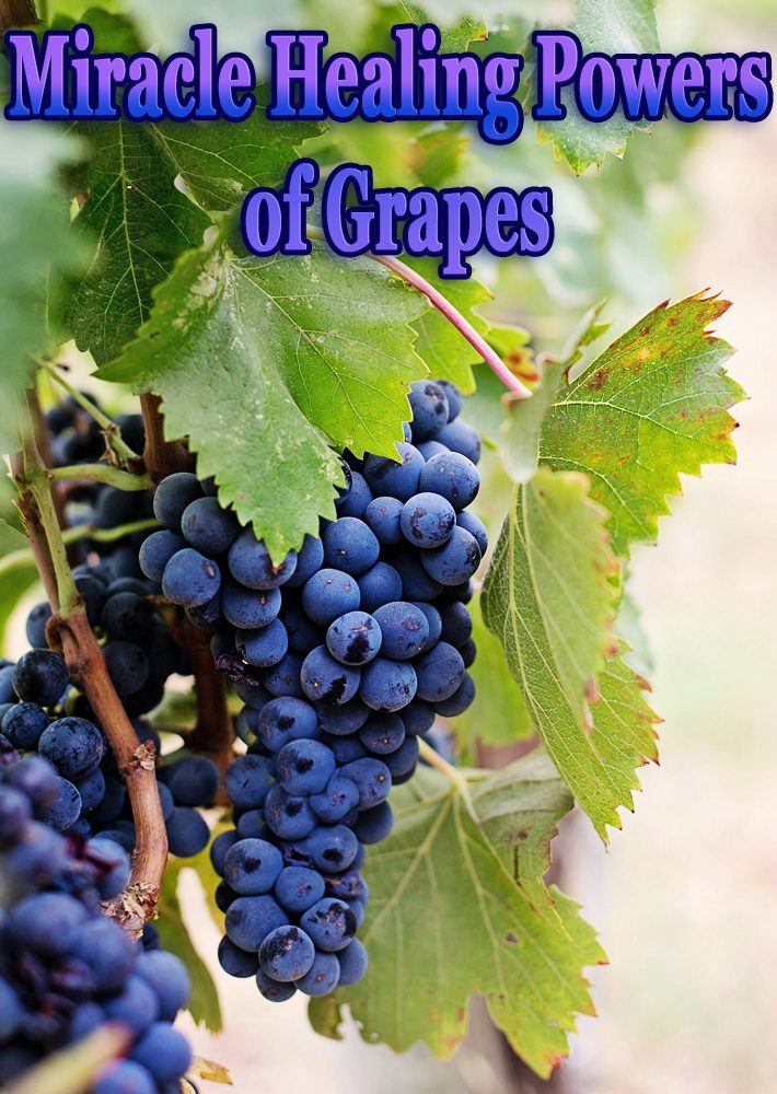 Miracle Healing Powers of Grapes