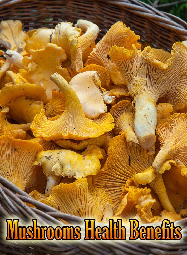 Mushrooms Health Benefits