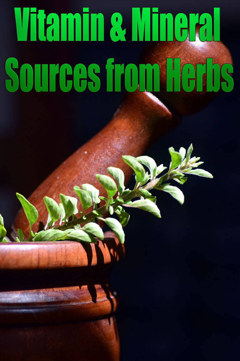 Vitamin & Mineral Sources from Herbs