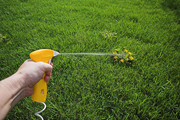 Vinegar-Based and Citrus-Based Herbicides