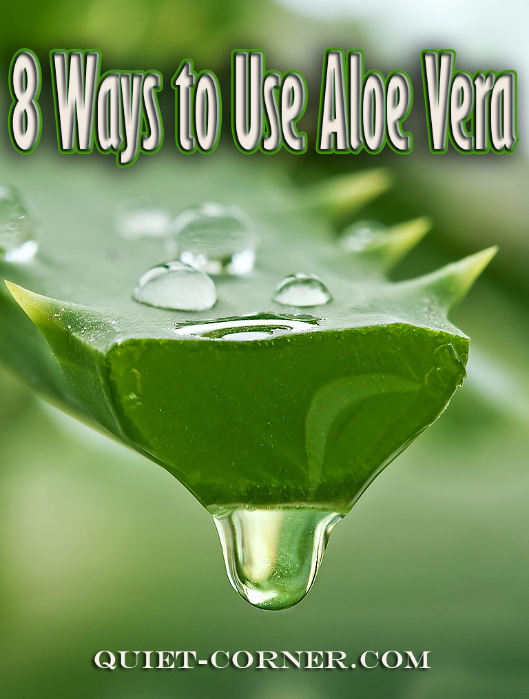 8 Ways to Use Aloe Vera