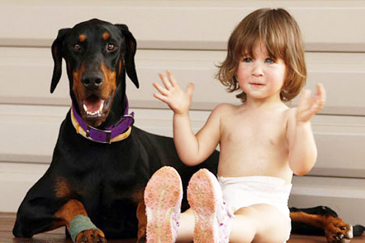 Khan Doberman Saves Toddler From Snake