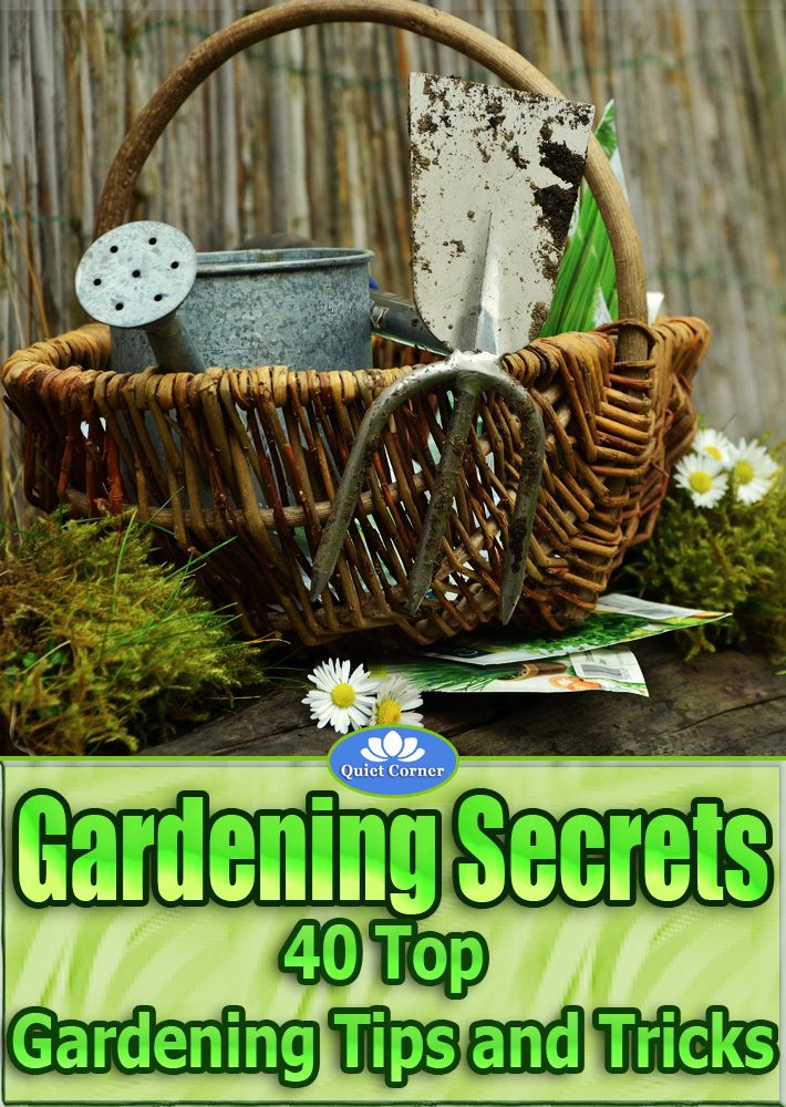 Gardening Secrets – 40 Top Gardening Tips and Tricks