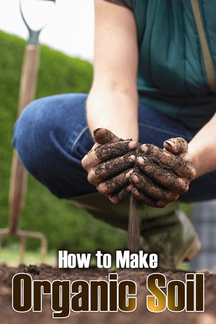 How to Make Organic Soil