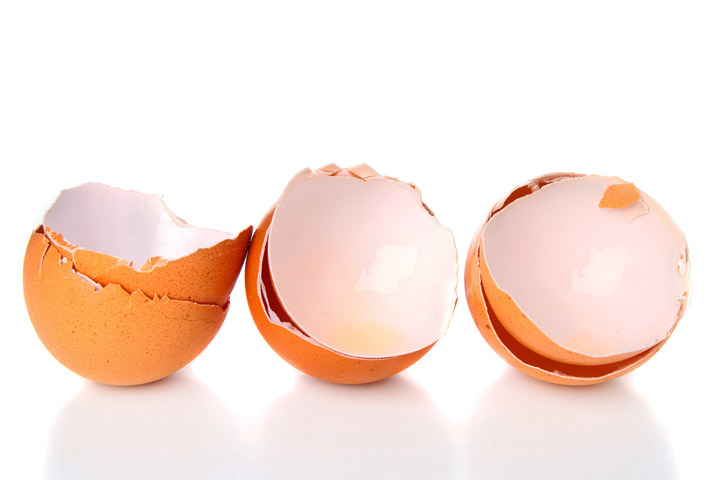 You Should Start Using Eggshells In Your Garden