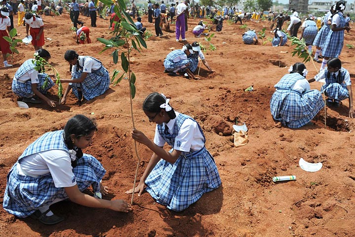 India Has Planted Nearly 50 Million Trees In 24 Hours