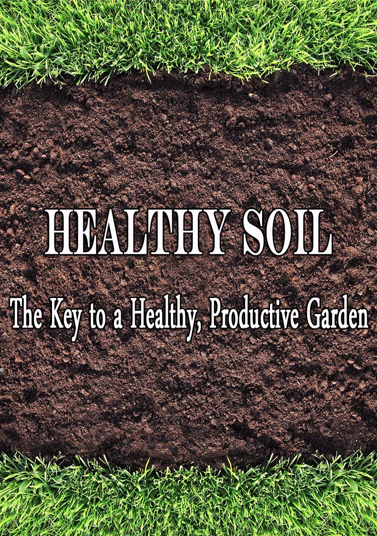 Healthy Soil: The Key to a Healthy, Productive Garden
