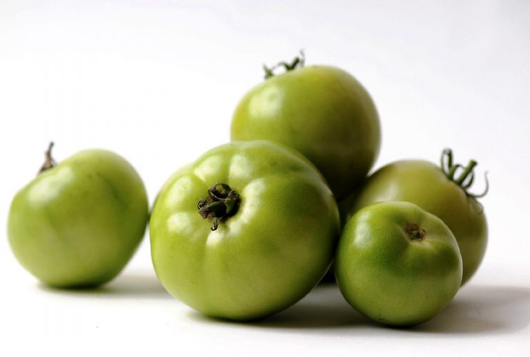 Tomatoes Nutritional Value Which Type to Plant?