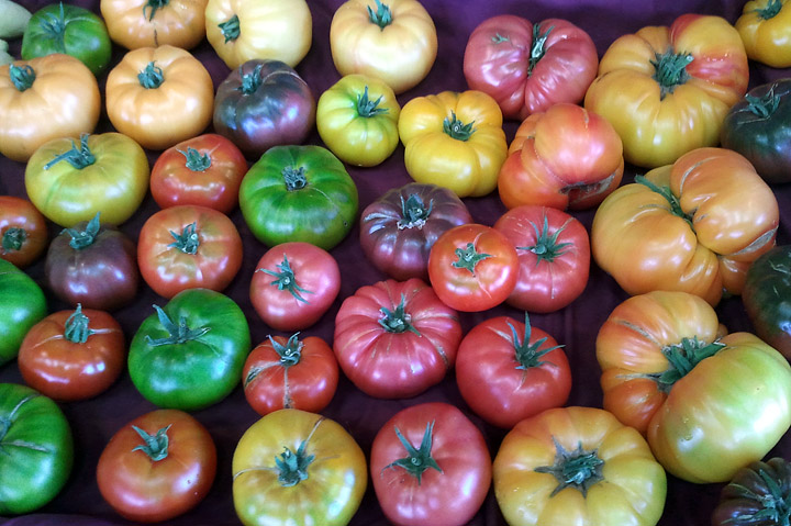 Tomatoes Nutritional Value - Which Type to Plant?