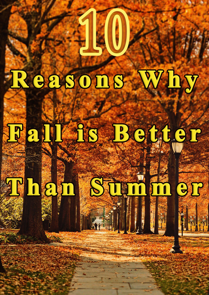 quiet-corner-10-reasons-why-fall-is-better-than-summer-quiet-corner