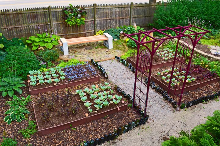 10 Ways to Grow a Shade Garden